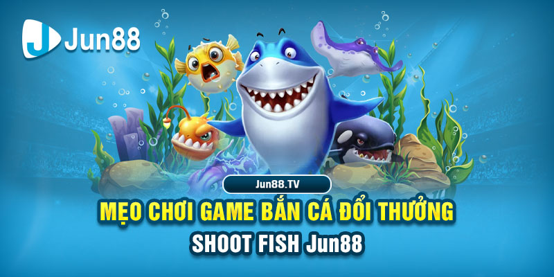 789alo casino tỷ lệ bóng đá
