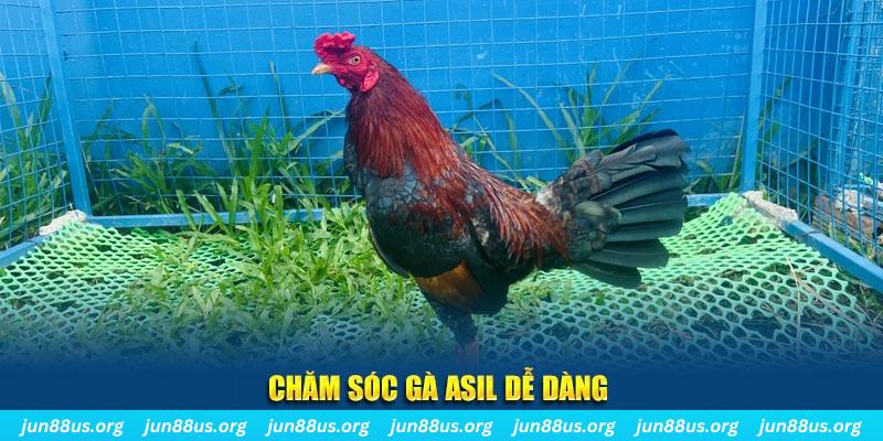 fun88 viet casino Đăng ký