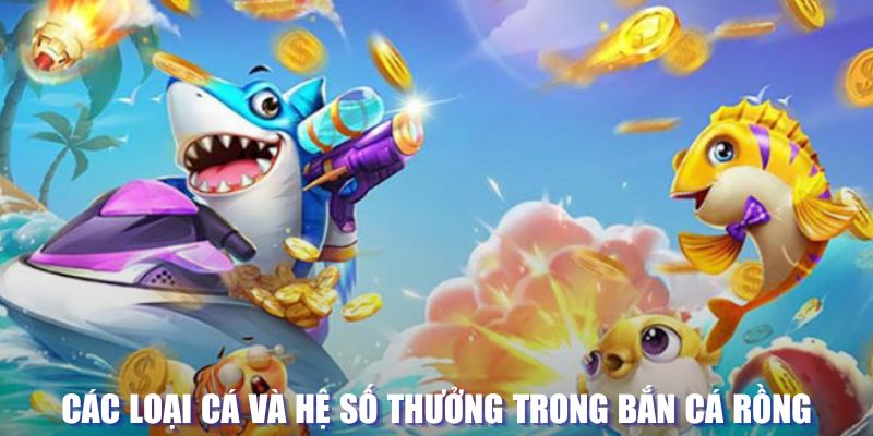 777 jili casino TỶ LỆ BÓNG ĐÁ