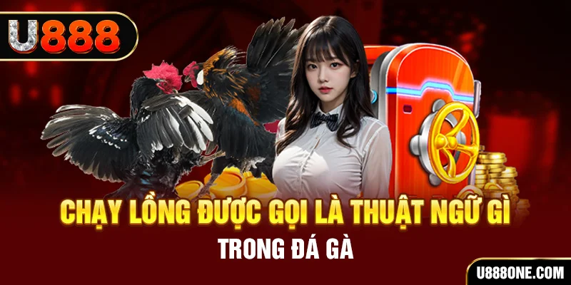 v9bett casino Đăng ký