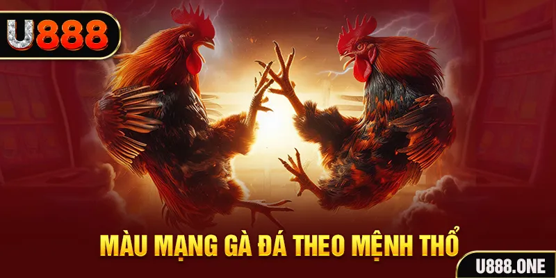 9 bet casino Đăng nhập