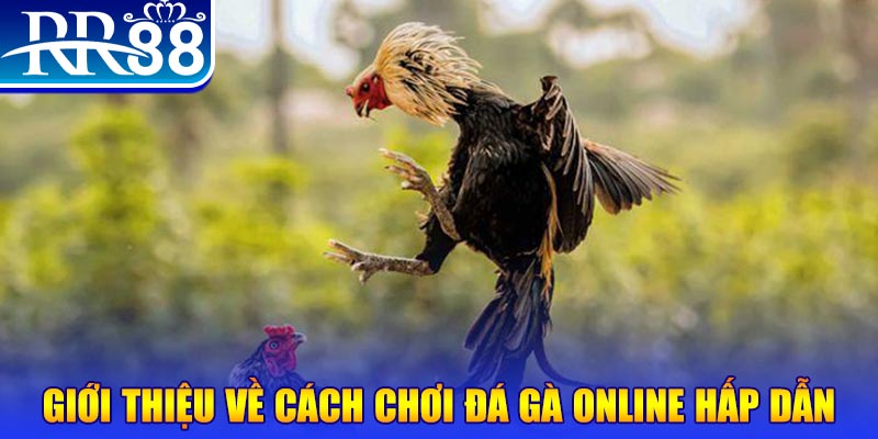 jun88v1 sòng bạc Sòng bạc