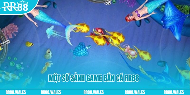 dk8 casino LÀ GÌ