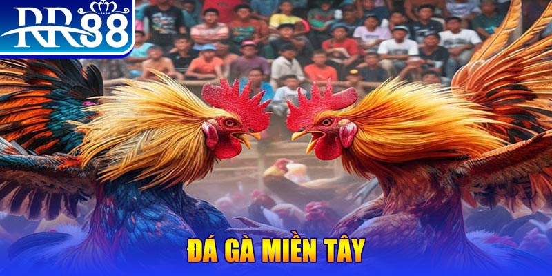 fun88za casino KÈO NHÀ CÁI